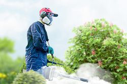 Обработка сада от паразитов - необходимые меры и их регулярность  в Самаре