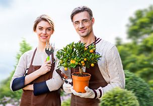 Проект «под ключ» где можно заказать по низкой цене  в Самаре