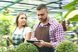 Дендроплан - верное планирование территории и решения этой задачи на уровне  в Самаре