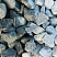 Kamenclub.ru: Щебень галтованный зеленый (змеевик) фр. 50-100 мм.  купить в Самаре галтовка мраморная зеленый, салатовый мрамор 12 500 руб/т   фото КАМЕНЬ КЛУБ