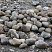 Kamenclub.ru: Речной валун (Ассорти) фр.100-300 мм.  купить в Самаре галечник серый, темно-серый, светло-серый речная галька крупных размеров 4200 руб/т   фото КАМЕНЬ КЛУБ