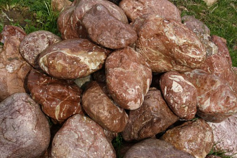 Kamenclub.ru: Розовый валунчик фр.100-300 мм.  купить в Самаре крупный природный камень розовый, серый молочный красный речной галечник природный 7850 руб/т   фото КАМЕНЬ КЛУБ