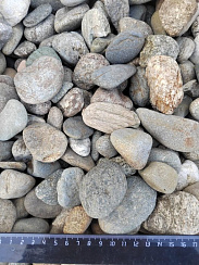 Kamenclub.ru: Галька речная окат (пестрая) фр. 20-40 мм. купить  в Самаре галька речная пестрая, серая, серые оттенки галька речная окатанная округлая 5000 руб/т   фото КАМЕНЬ КЛУБ