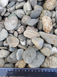 Kamenclub.ru: Галька речная окат (пестрая) фр. 20-40 мм. купить  в Самаре галька речная пестрая, серая, серые оттенки галька речная окатанная округлая 5000 руб/т   фото КАМЕНЬ КЛУБ