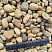 Kamenclub.ru: Галька речная окат рыжая фр. 20-40 мм. купить  в Самаре галька речная окатанная рыжая желтая серая округлая речная галька 5000 руб/т   фото КАМЕНЬ КЛУБ
