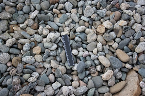 Kamenclub.ru: Галька речная окат (пестрая) фр. 20-40 мм. купить  в Самаре галька речная пестрая, серая, серые оттенки галька речная окатанная округлая 5000 руб/т   фото КАМЕНЬ КЛУБ