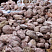 Kamenclub.ru: Розовый валунчик фр.100-300 мм.  купить в Самаре крупный природный камень розовый, серый молочный красный речной галечник природный 7850 руб/т   фото КАМЕНЬ КЛУБ