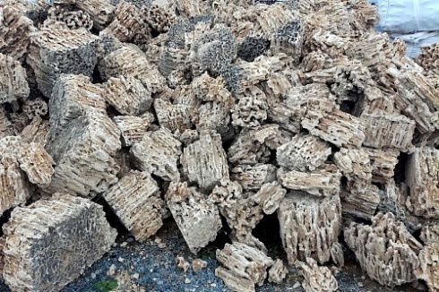 Kamenclub.ru: Крымский природный меотис фр. 100-500 мм.  купить в Самаре меотис бежевый рыжий молочный желтый ракушечник 4 500 руб/т   фото КАМЕНЬ КЛУБ