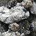 Kamenclub.ru: Черный гранит - кварцит фр. 100-500 мм.  купить в Самаре мрамор гранит черный с белыми прожилками, серый, белый валун скальный колотый 7000 руб/т   фото КАМЕНЬ КЛУБ