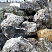 Kamenclub.ru: Черный гранит - кварцит фр. 500-1000 мм.  купить в Самаре гранит кварцит черный серый белый скальный колотый валун 9750 руб/т   фото КАМЕНЬ КЛУБ
