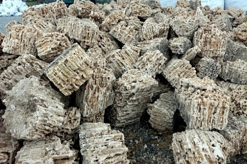 Kamenclub.ru: Крымский природный меотис фр. 100-500 мм.  купить в Самаре меотис бежевый рыжий молочный желтый ракушечник 4 500 руб/т   фото КАМЕНЬ КЛУБ