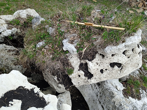 Kamenclub.ru: Выветренный известняк со мхом фр. 100-500 мм.  купить в Самаре известняк серый белый зеленый валун известняковый крупный 10000 руб/т   фото КАМЕНЬ КЛУБ