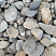 Kamenclub.ru: Галька речная окат (пестрая) фр. 20-40 мм. купить  в Самаре галька речная пестрая, серая, серые оттенки галька речная окатанная округлая 5000 руб/т   фото КАМЕНЬ КЛУБ