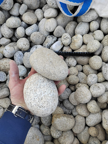 Kamenclub.ru: Галька речная окат (серо-белая) фр. 70-120 мм купить  в Самаре галька галечник бело-серая, серо-белая, серая, белая речная природная галька  8000 руб/т   фото КАМЕНЬ КЛУБ