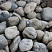 Kamenclub.ru: Темно-серый валунчик фр.100-300 мм.  купить в Самаре крупный природный камень серый, темно-серый, светло-серый речная галька большого размера окатанная 4500 руб/т   фото КАМЕНЬ КЛУБ