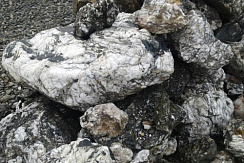 Kamenclub.ru: Черный гранит - кварцит фр. 500-1000 мм.  купить в Самаре гранит кварцит черный серый белый скальный колотый валун 9750 руб/т   фото КАМЕНЬ КЛУБ