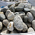 Kamenclub.ru: Речной валун (Ассорти) фр.100-300 мм.  купить в Самаре галечник серый, темно-серый, светло-серый речная галька крупных размеров 4200 руб/т   фото КАМЕНЬ КЛУБ
