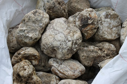 Kamenclub.ru: Кварцевый валунчик фр.100-300 мм.  купить в Самаре кварц белый, бежевый молочный рыжий крупный природный камень галечник 7850 руб/т   фото КАМЕНЬ КЛУБ