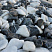Kamenclub.ru: Мраморная крошка (щебень галтованный микс:: белый-черный) фр.20-40 мм  купить в Самаре мрамор белый, черный мраморный галтованный щебень 15500 руб/т   фото КАМЕНЬ КЛУБ