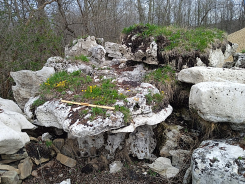 Kamenclub.ru: Выветренный известняк со мхом фр. 100-500 мм.  купить в Самаре известняк серый белый зеленый валун известняковый крупный 10000 руб/т   фото КАМЕНЬ КЛУБ