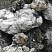 Kamenclub.ru: Черный гранит - кварцит фр. 100-500 мм.  купить в Самаре мрамор гранит черный с белыми прожилками, серый, белый валун скальный колотый 7000 руб/т   фото КАМЕНЬ КЛУБ