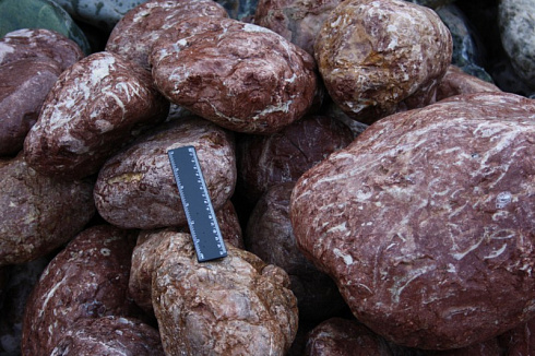 Kamenclub.ru: Розовый валунчик фр.100-300 мм.  купить в Самаре крупный природный камень розовый, серый молочный красный речной галечник природный 7850 руб/т   фото КАМЕНЬ КЛУБ