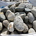 Kamenclub.ru: Речной валун (Ассорти) фр.100-300 мм.  купить в Самаре галечник серый, темно-серый, светло-серый речная галька крупных размеров 4200 руб/т   фото КАМЕНЬ КЛУБ