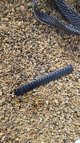 Kamenclub.ru: Галька окат (серо-желтая) фр.5-10 мм. купить  в Самаре галька речная рыжий, желтый, рыжий, серо-желтый речная окатанная галька декоративная 5000 руб/т   фото КАМЕНЬ КЛУБ