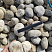 Kamenclub.ru: Галька речная окат (серо-белая) фр. 70-120 мм купить  в Самаре галька галечник бело-серая, серо-белая, серая, белая речная природная галька  8000 руб/т   фото КАМЕНЬ КЛУБ