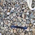 Kamenclub.ru: Галька речная окат (пестрая) фр. 20-40 мм. купить  в Самаре галька речная пестрая, серая, серые оттенки галька речная окатанная округлая 5000 руб/т   фото КАМЕНЬ КЛУБ