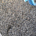Kamenclub.ru: Галька речная окат (серая) фр.3-5 мм купить  в Самаре галька речная серая бежевый темно-серый окатанный речной камень округлый 9500 руб/т   фото КАМЕНЬ КЛУБ