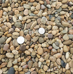 Kamenclub.ru: Галька окат (серо-желтая) фр.10-20 мм. купить  в Самаре галька серо-желтая, рыжая, серый речная окатанная округлая галька 5000 руб/т   фото КАМЕНЬ КЛУБ