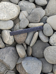 Kamenclub.ru: Галька речная плоская (ассорти) фр. 70-150 мм. купить в Самаре галька галечник серый белый темно-серый синий светло-серый плоская природная галька  9000 руб/т   фото КАМЕНЬ КЛУБ