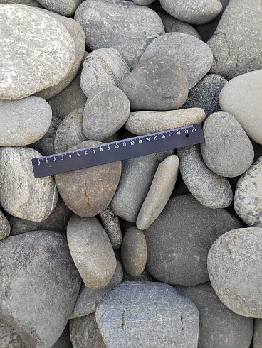 Kamenclub.ru: Галька речная плоская (серо-белая) фр. 70-120 мм. купить  в Самаре галька галечник речной серый, белый окатанная плоская  природная галька 9000 руб/т   фото КАМЕНЬ КЛУБ