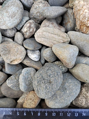 Kamenclub.ru: Галька речная окат (серая) фр.40-60 мм купить  в Самаре галька речная серый бежевый рыжий коричневый округлый речной камень 5000 руб/т   фото КАМЕНЬ КЛУБ