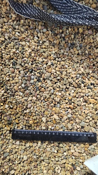 Kamenclub.ru: Галька окат (серо-желтая) фр.5-10 мм. купить  в Самаре галька речная рыжий, желтый, рыжий, серо-желтый речная окатанная галька декоративная 5000 руб/т   фото КАМЕНЬ КЛУБ