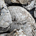 Kamenclub.ru: Кварцевый валунчик фр.100-300 мм.  купить в Самаре кварц белый, бежевый молочный рыжий крупный природный камень галечник 7850 руб/т   фото КАМЕНЬ КЛУБ