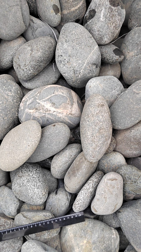 Kamenclub.ru: Галька речная окат (темно-серая) фр. 70-150 мм. купить  в Самаре галька речная темно-серая, синяя, серая речная галька округлая  8000 руб/т   фото КАМЕНЬ КЛУБ