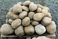 Kamenclub.ru: Песчаник ядра, фр. 100-300 мм  купить в Самаре песчаник бежевый серый рыжий речная галька 5 000 руб/т   фото КАМЕНЬ КЛУБ