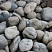 Kamenclub.ru: Речной валун (Ассорти) фр.100-300 мм.  купить в Самаре галечник серый, темно-серый, светло-серый речная галька крупных размеров 4200 руб/т   фото КАМЕНЬ КЛУБ