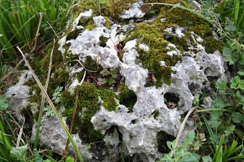 Kamenclub.ru: Выветренный известняк со мхом фр. 100-500 мм.  купить в Самаре известняк серый белый зеленый валун известняковый крупный 10000 руб/т   фото КАМЕНЬ КЛУБ