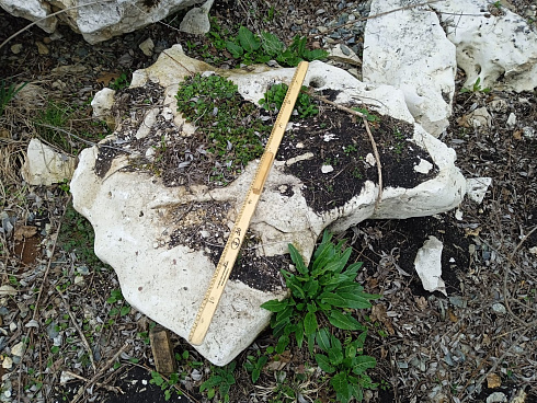 Kamenclub.ru: Выветренный известняк (степной) фр. 500-1500 мм.  купить в Самаре    10000 руб/т   фото КАМЕНЬ КЛУБ