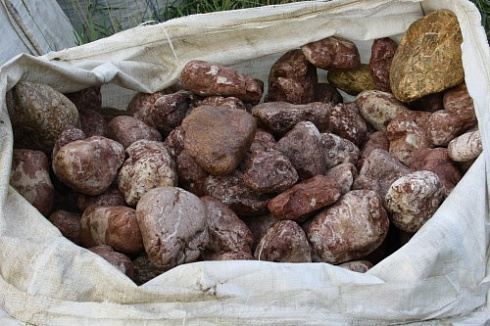 Kamenclub.ru: Розовый валунчик фр.100-300 мм.  купить в Самаре крупный природный камень розовый, серый молочный красный речной галечник природный 7850 руб/т   фото КАМЕНЬ КЛУБ