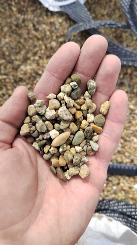 Kamenclub.ru: Галька окат (серо-желтая) фр.5-10 мм. купить  в Самаре галька речная рыжий, желтый, рыжий, серо-желтый речная окатанная галька декоративная 5000 руб/т   фото КАМЕНЬ КЛУБ